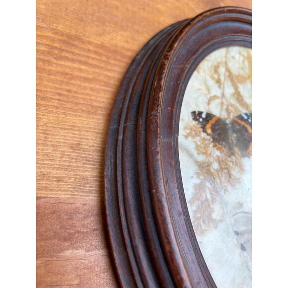 Vintage pressed butterfly and flower simple oval wood frame bubble glass - Picture 10 of 16